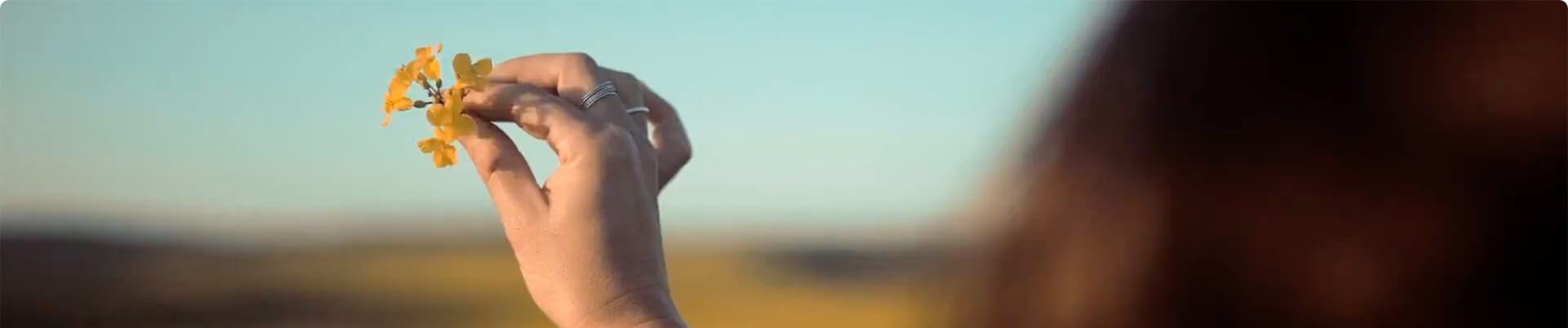 中研电信联系方式